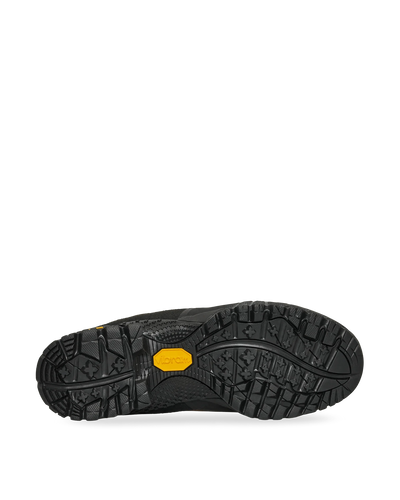 Roa Andreas Honey