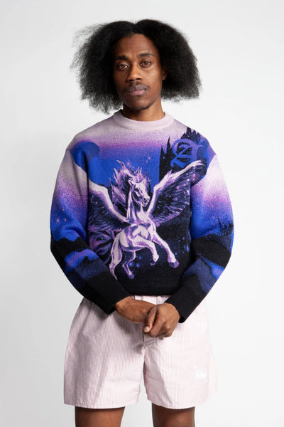 Aries Pegasus Knit