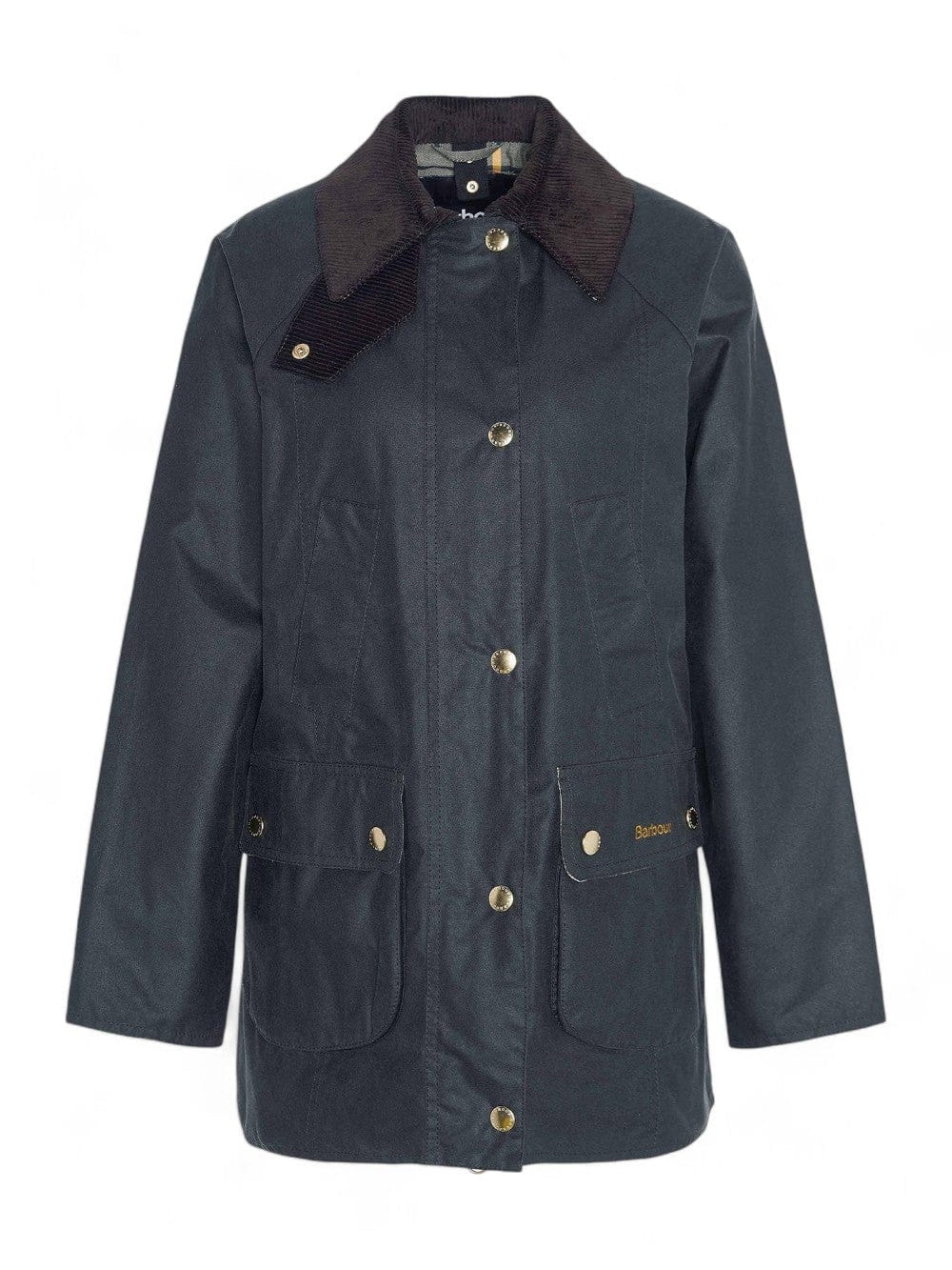 Barbour Donna